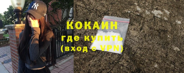 стафф Михайловск